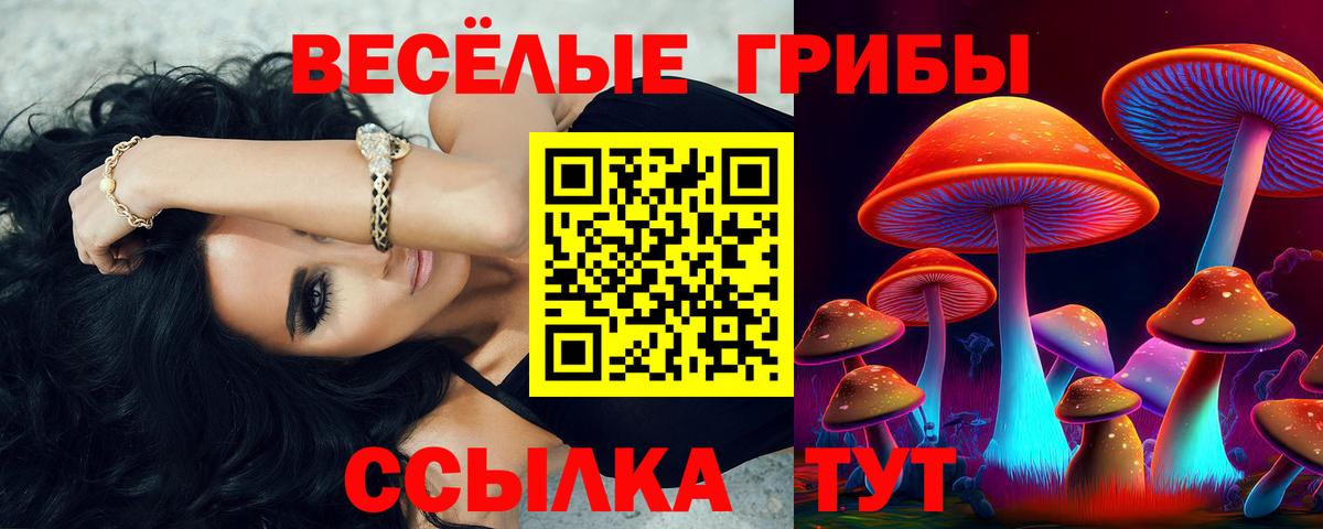 Псилоцибиновые грибы MAGIC MUSHROOMS  Вход с VPN  Псилоцибиновые грибы Cubensis  Белорецк 